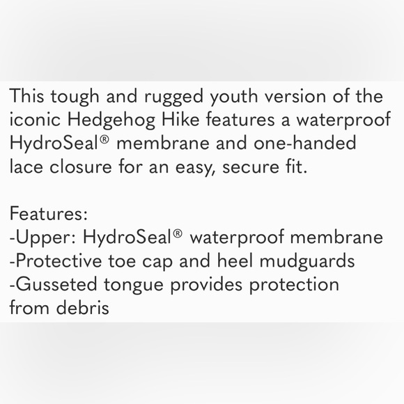 ⭐️The North Face Jr Hedgehog Hiker Shoes - Picture 8 of 8